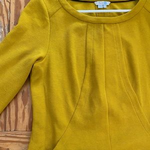 Boden Ponte Knit Shift 12L